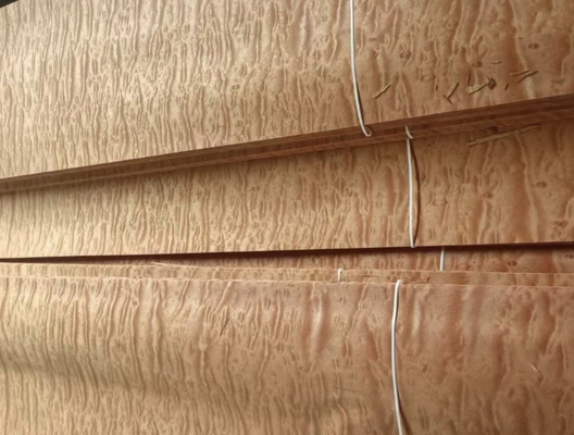 0.52mm Macore Pomelle feuilles de placage naturel pour les meubles