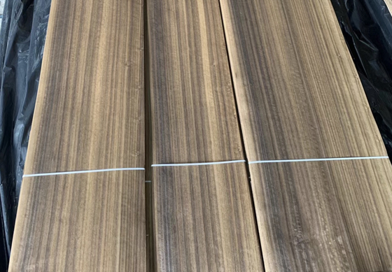 Coupe en tranches adhésif fumé Eucalyptus Faisceau de bois Largeur 1200 mm