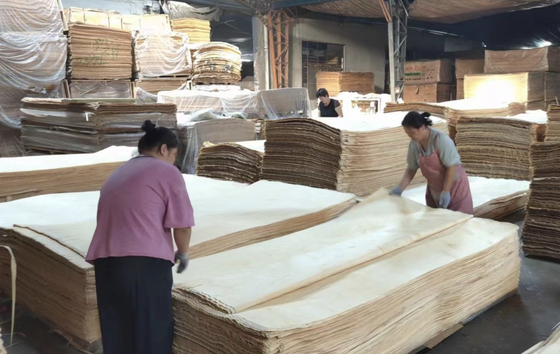 0.25-0.5mm Veneur de bouleau russe Rotary Cut Wood Veneer 1270x2500mm