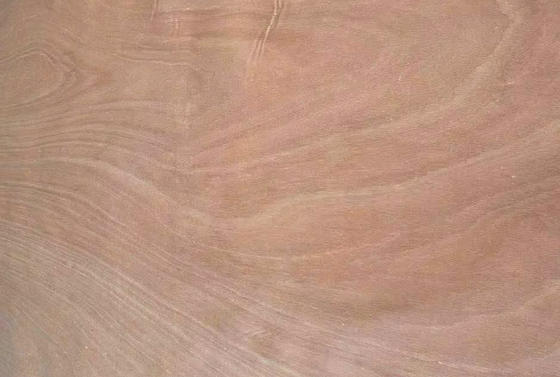 0.1-0.5 mm Veneur en bois d'okoume rotatif décoloré 1270 mm*2500 mm