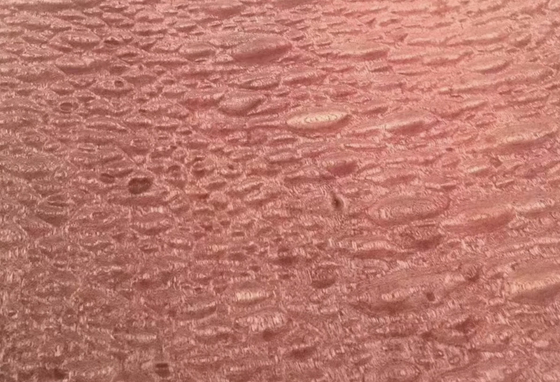 Nom